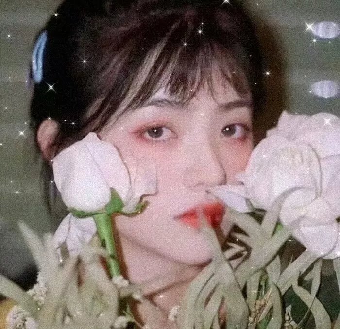 一闪一闪亮星星